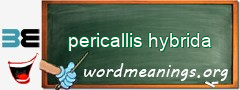 WordMeaning blackboard for pericallis hybrida